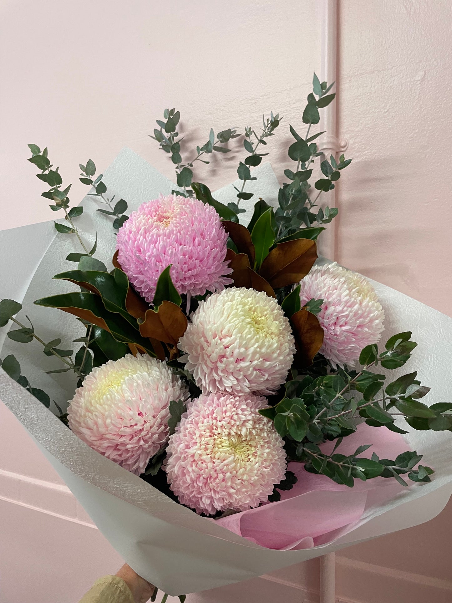POM POMS
