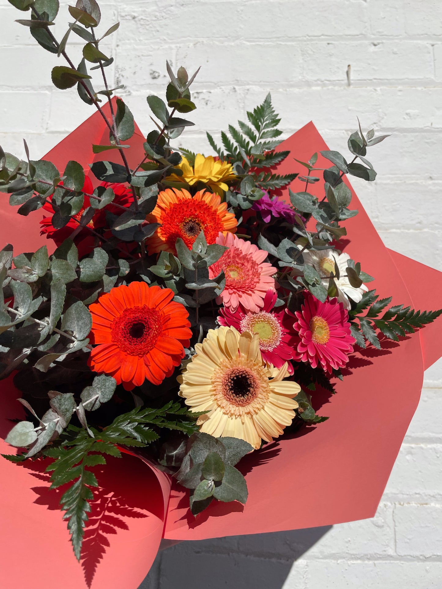 GERBERAS
