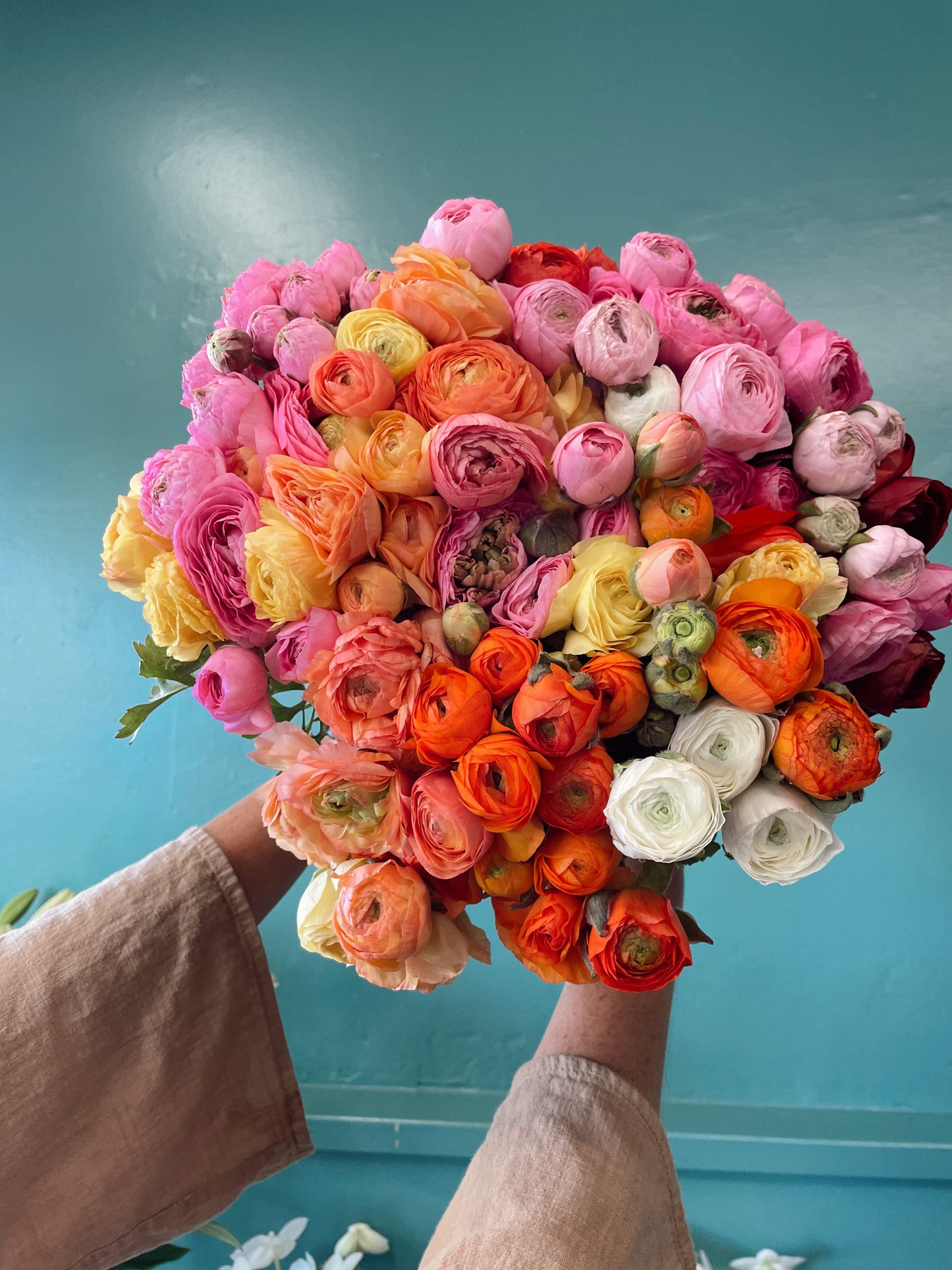 RANUNCULUS