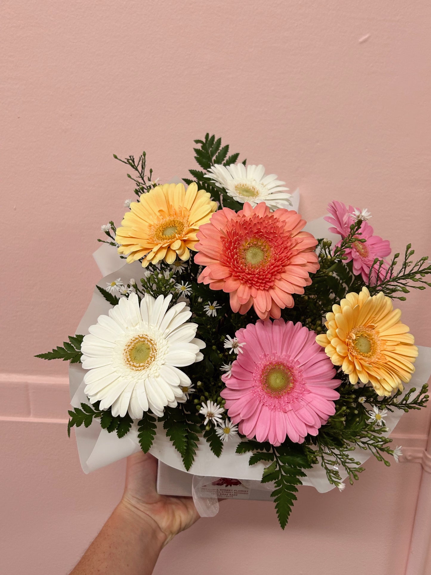 GERBERAS
